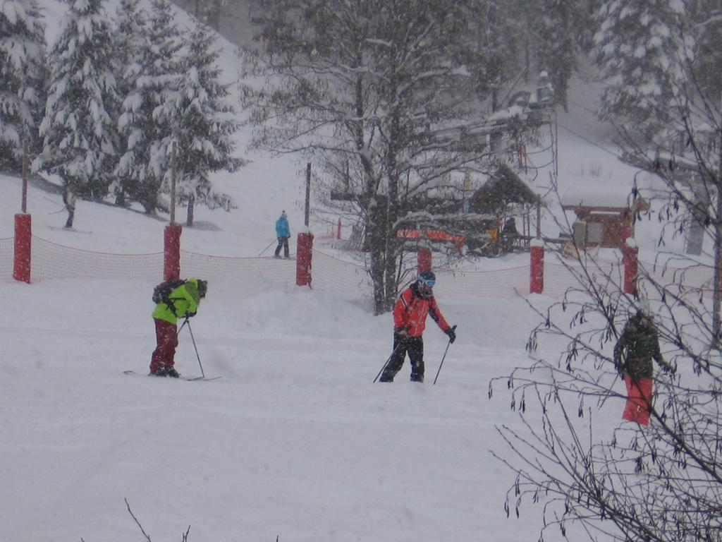 Chalet Jonquille Les Gets Δωμάτιο φωτογραφία