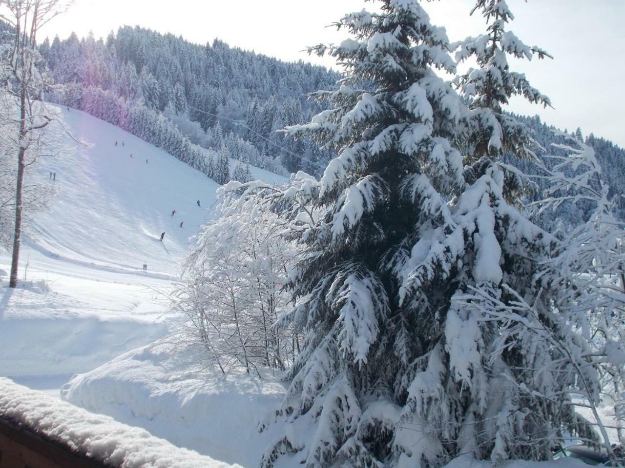 Chalet Jonquille Les Gets Εξωτερικό φωτογραφία