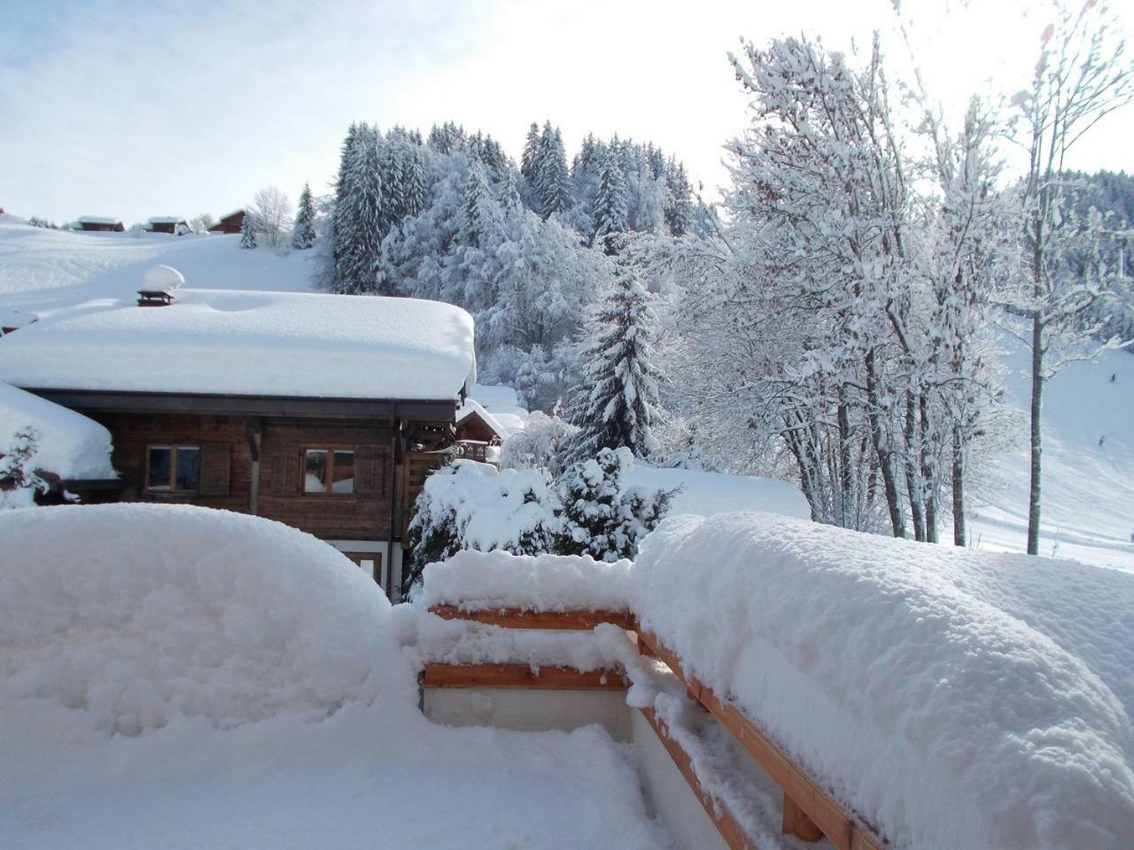 Chalet Jonquille Les Gets Εξωτερικό φωτογραφία