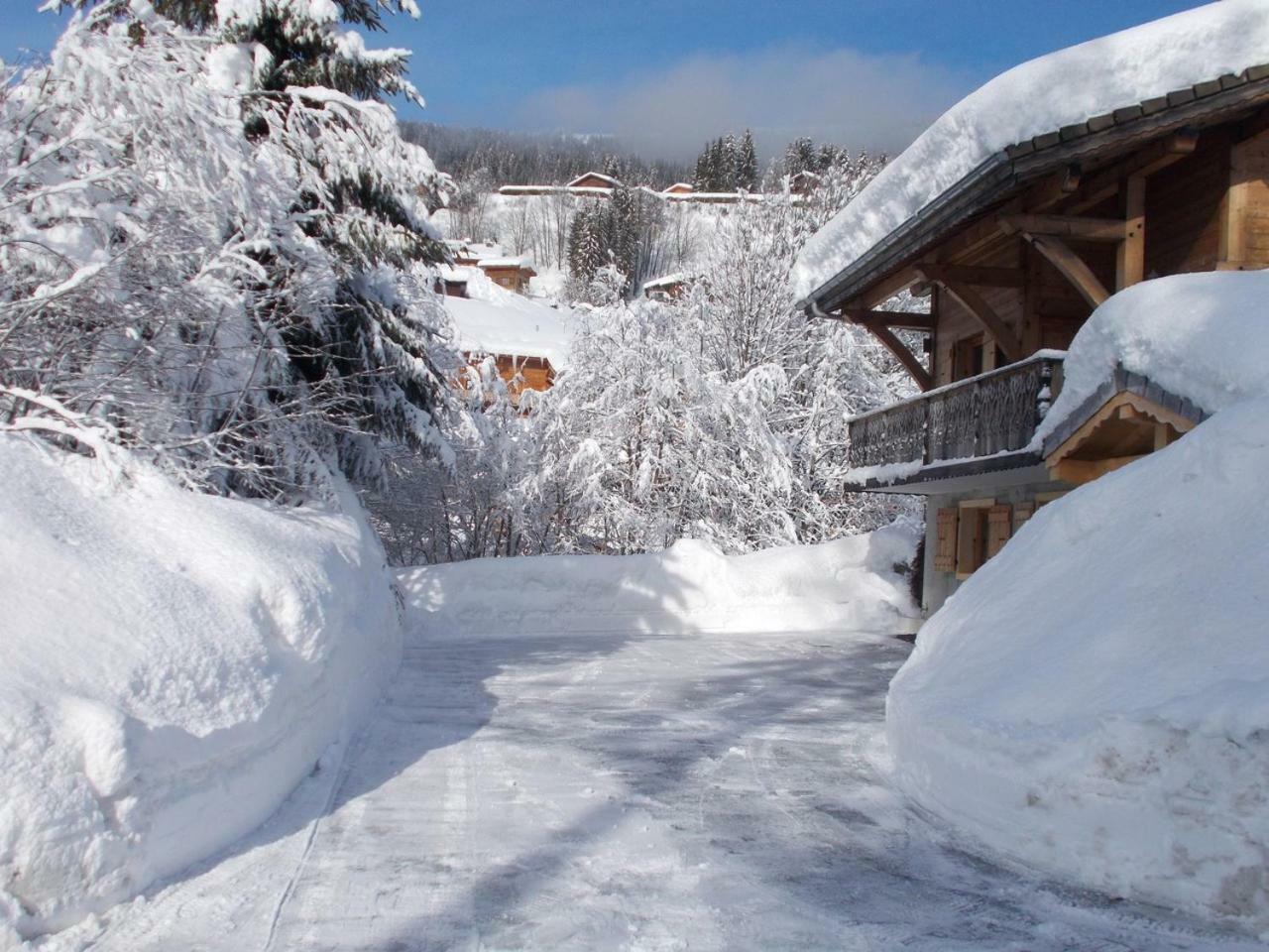 Chalet Jonquille Les Gets Εξωτερικό φωτογραφία