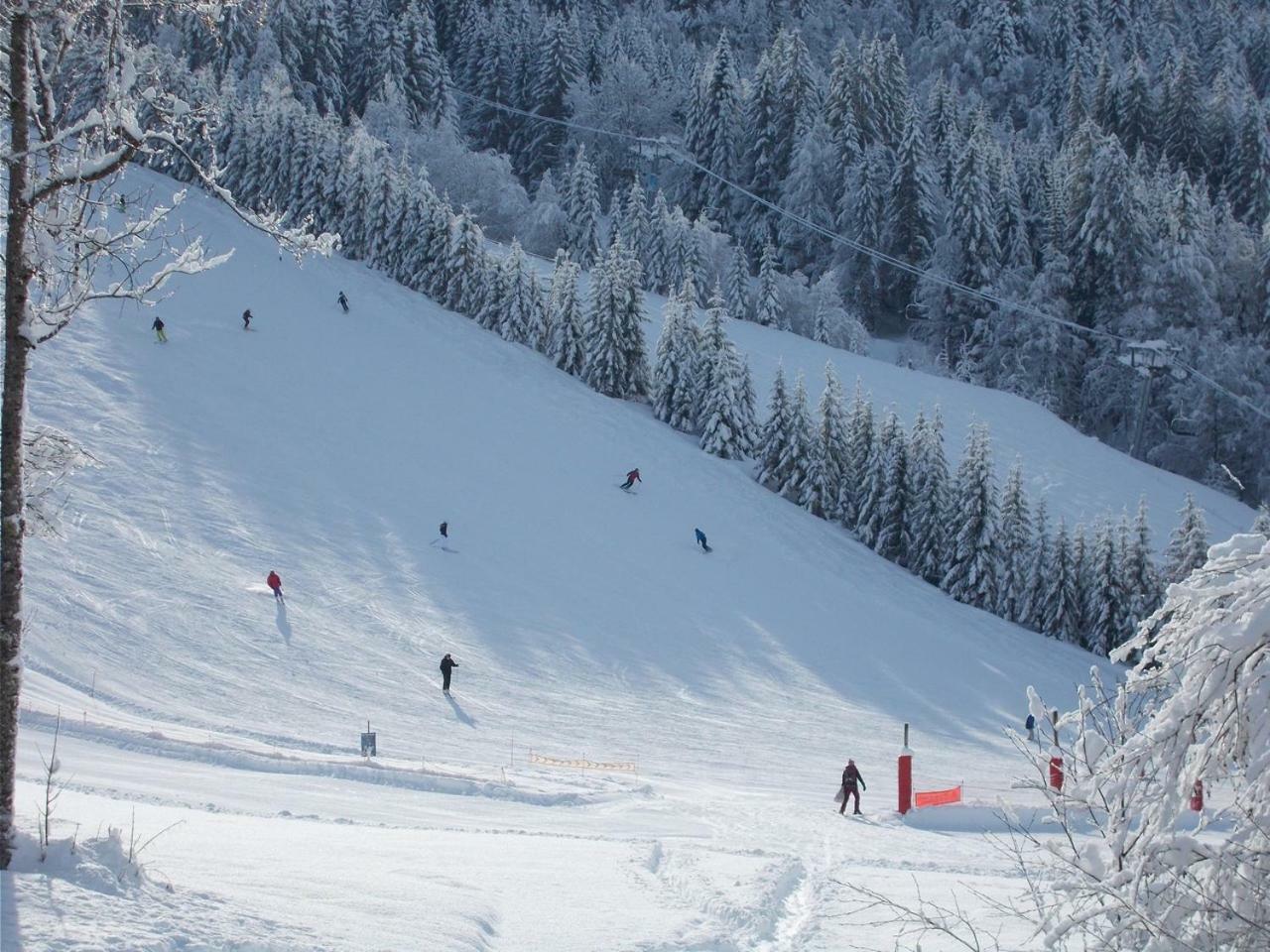 Chalet Jonquille Les Gets Εξωτερικό φωτογραφία