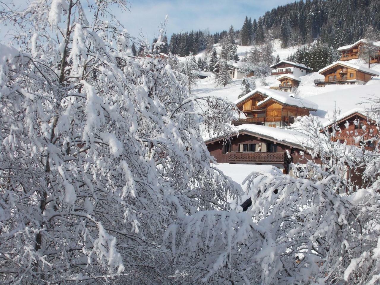 Chalet Jonquille Les Gets Εξωτερικό φωτογραφία